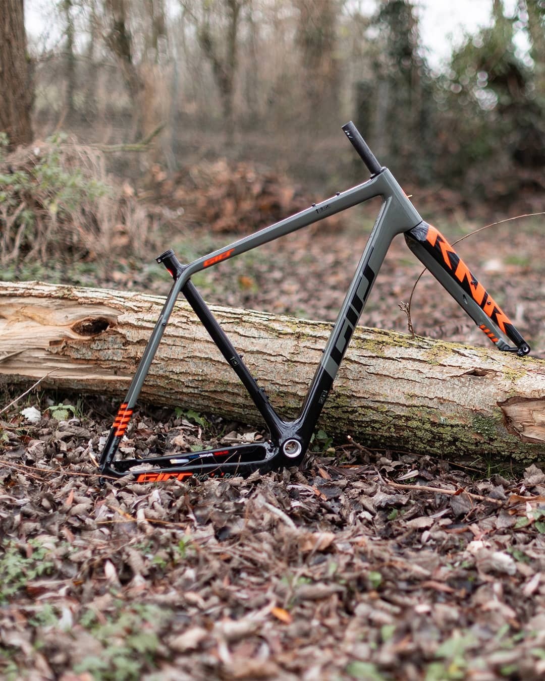 Copy Of Velo Rnr Gravel Campagnolo Ekar | Girs