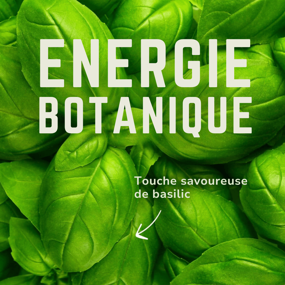 Electrolytes Attivo | Veloforte