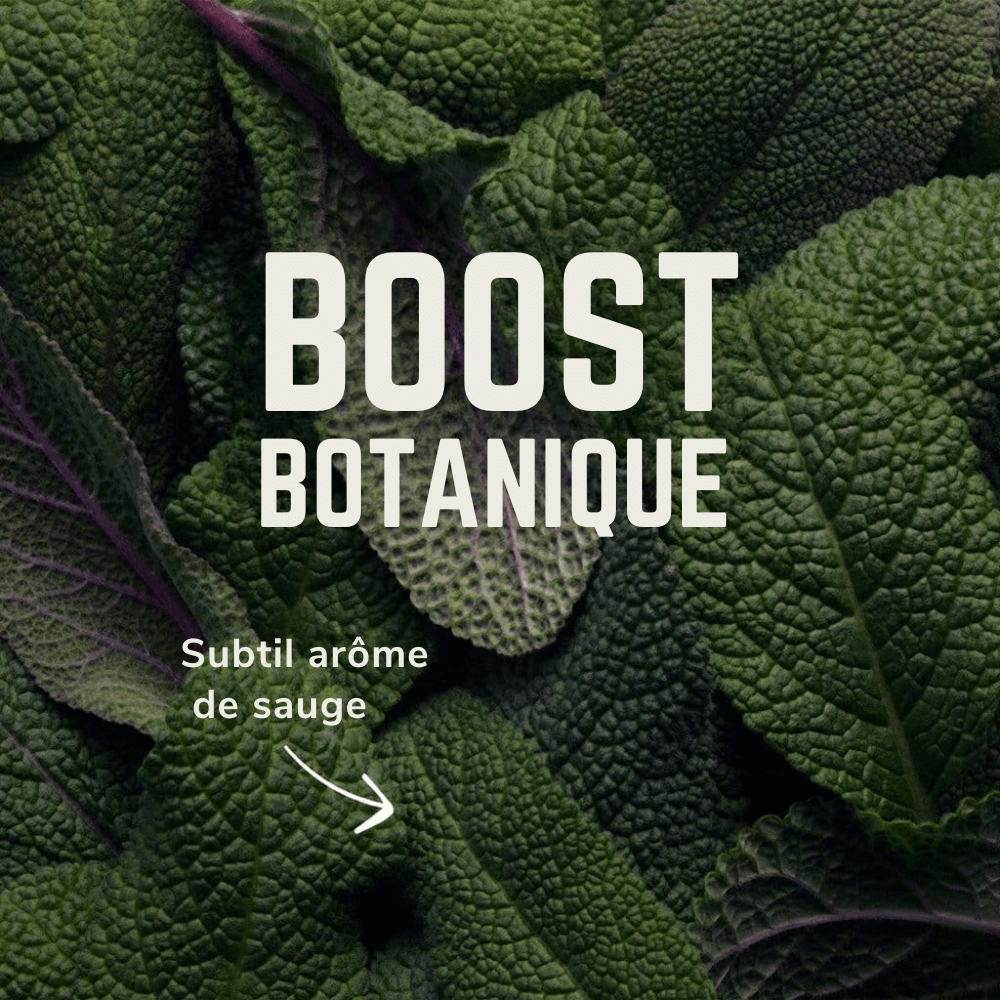 Electrolytes Solo | Veloforte