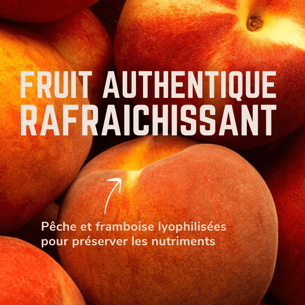 Electrolytes Vivo | Veloforte