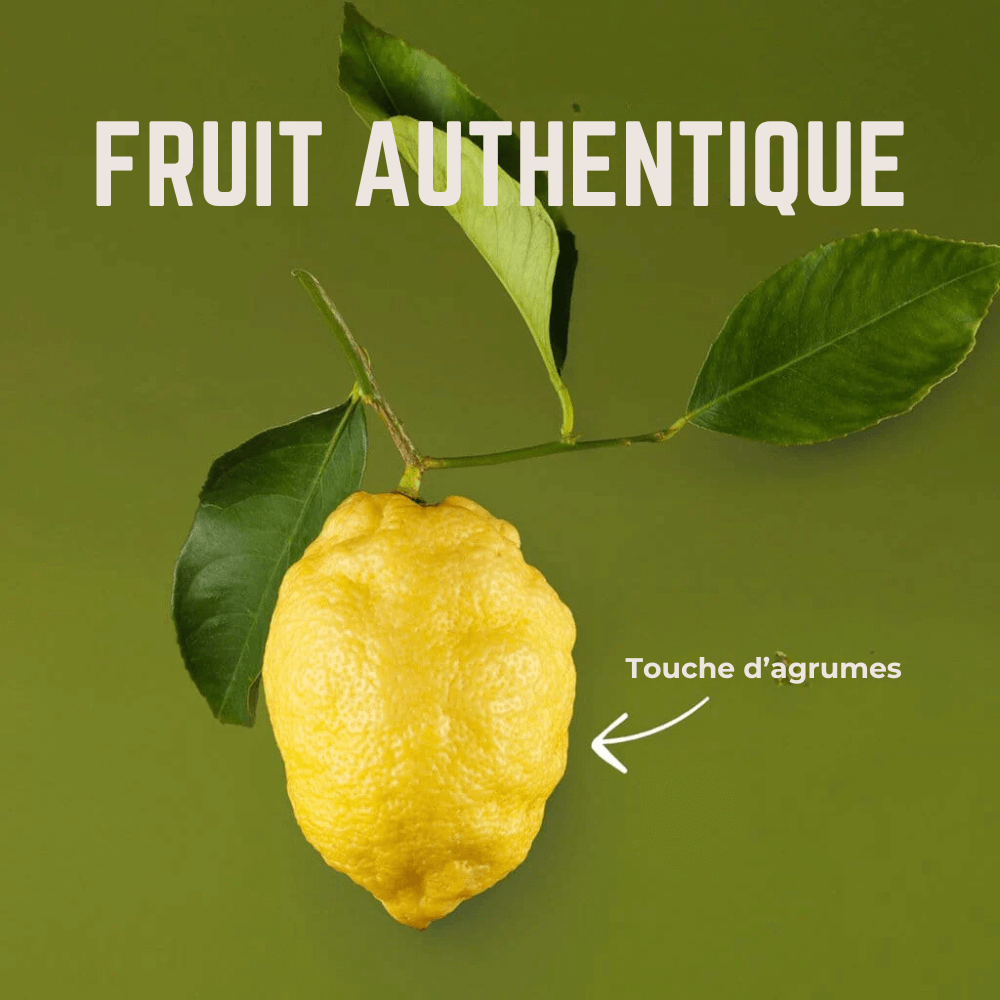 Gommes Fresco Citron | Veloforte