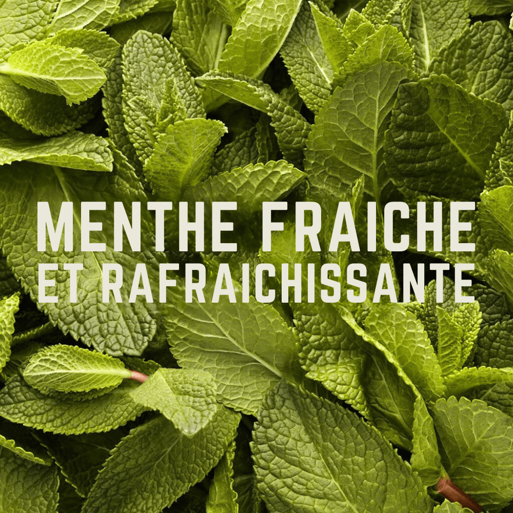 Gommes Fresco Citron | Veloforte