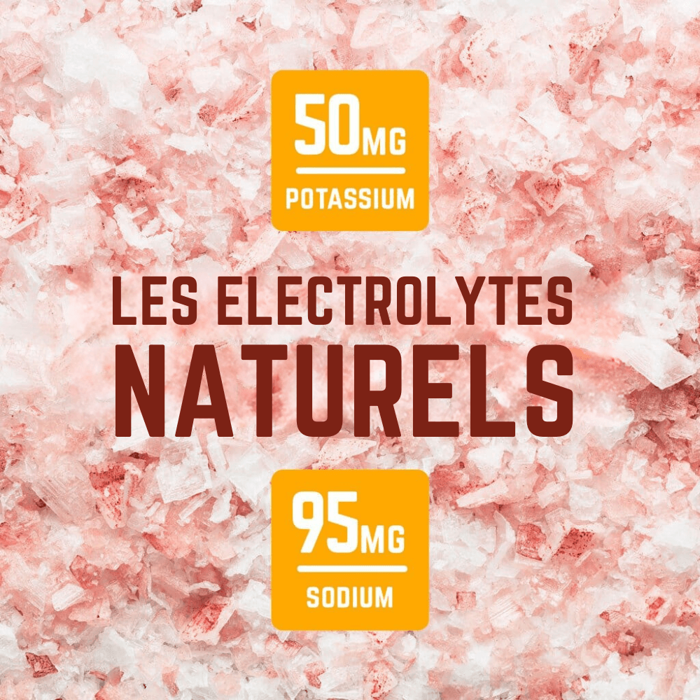 Gommes Fresco Citron | Veloforte