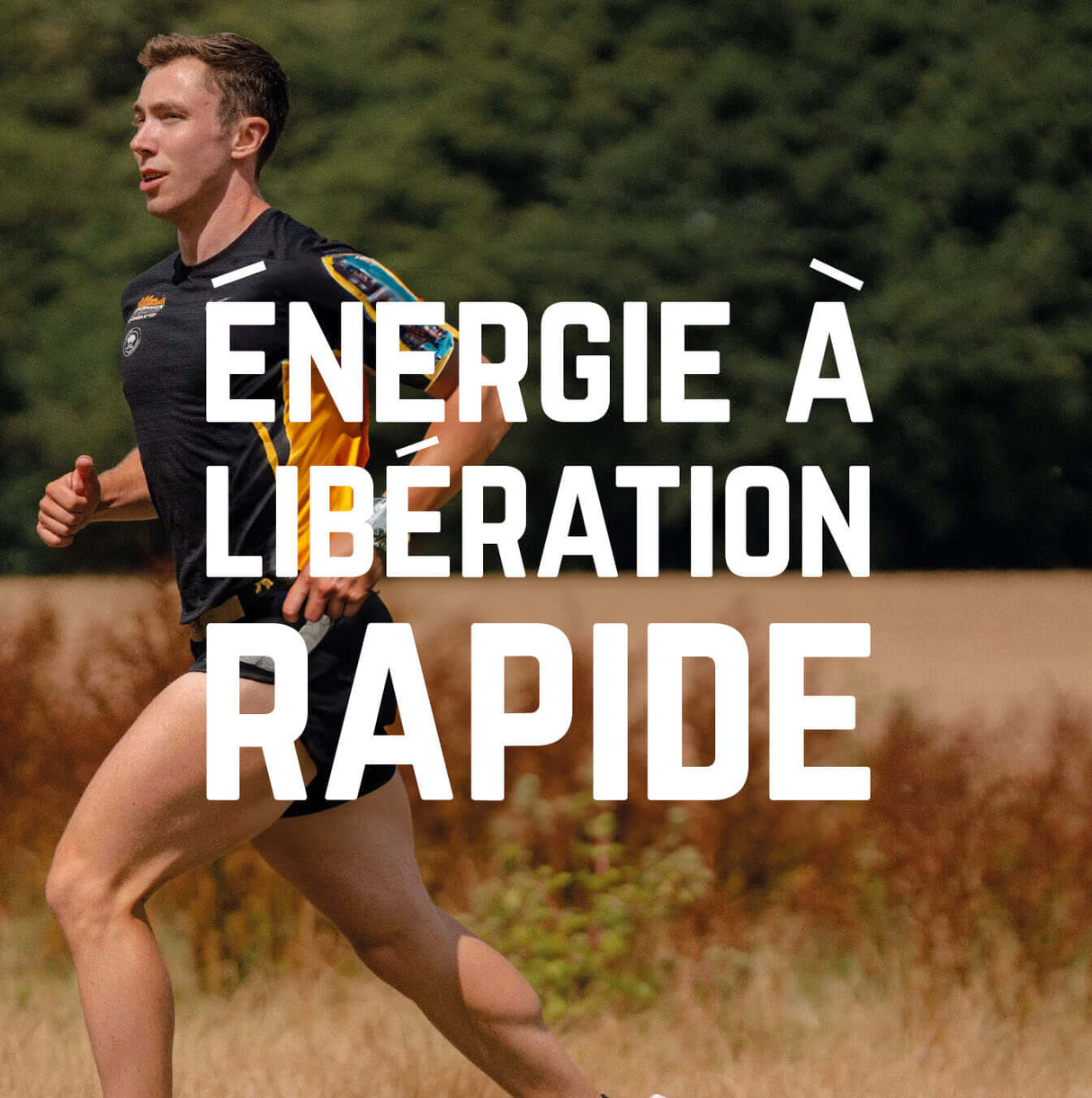 Pack Complet Vegan | Veloforte