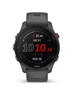 Garmin Forerunner 255 gray