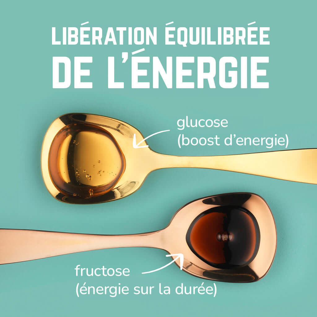 Pack Complet Vegan  | Veloforte