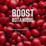 Electrolytes Vivo  | Veloforte