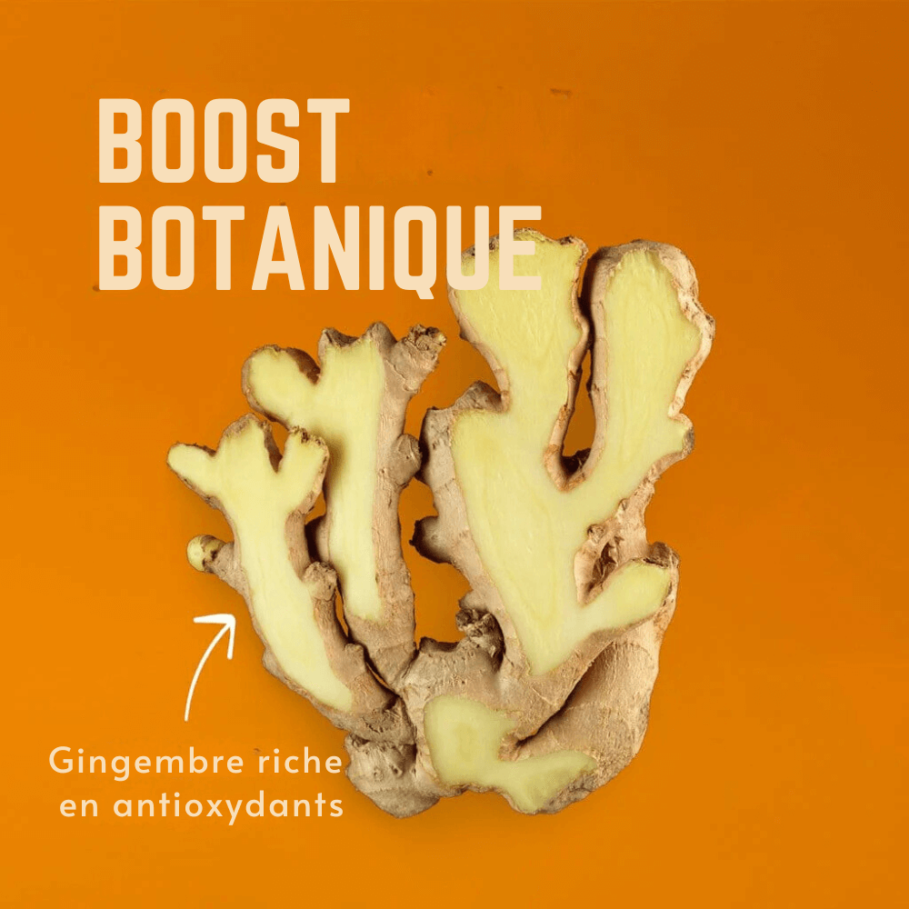 Gommes Citro Agrumes  | Veloforte