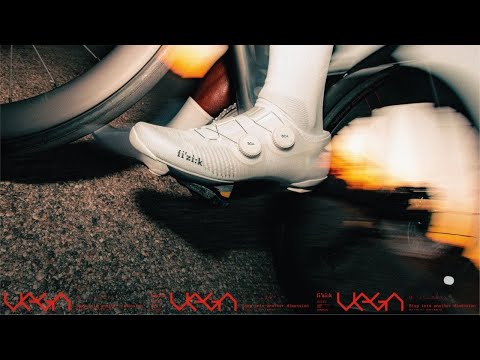 Vega carbon | Fizik