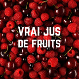 Pack Complet Vegan  | Veloforte