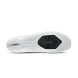Vega carbon | Fizik